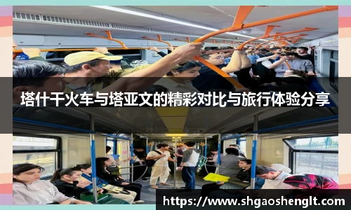 77体育官网