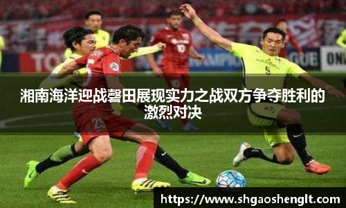 77体育官网