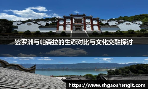 婆罗洲与帕森拉的生态对比与文化交融探讨