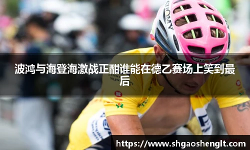 波鸿与海登海激战正酣谁能在德乙赛场上笑到最后