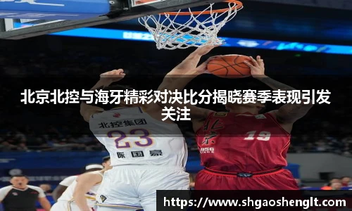 北京北控与海牙精彩对决比分揭晓赛季表现引发关注