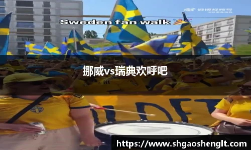 挪威vs瑞典欢呼吧